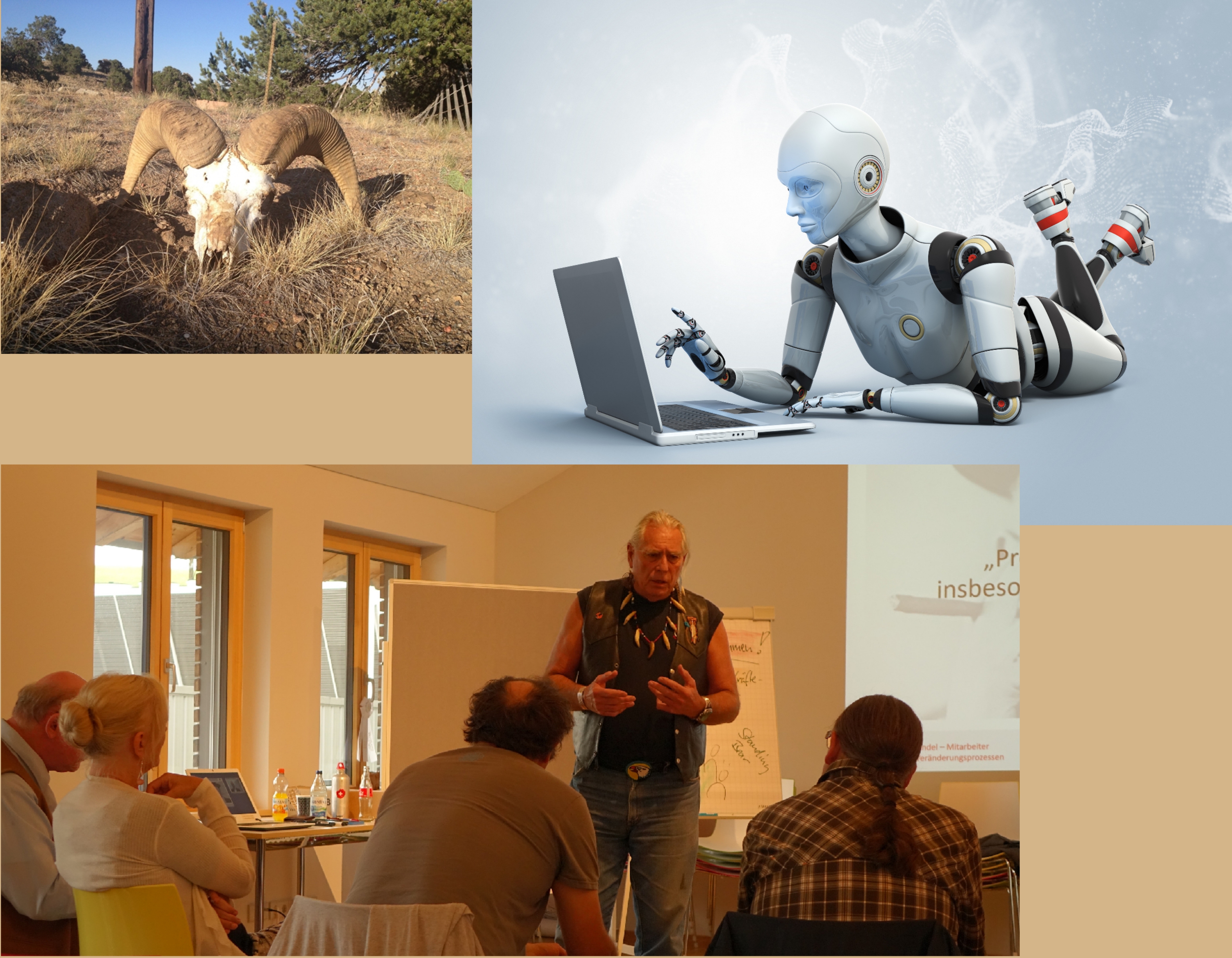 Ein Seminar mit Standing Bear – Cherokee Medicine Man In stürmischen Zeiten gesund, stabil und zuversichtlich bleiben und arbeiten